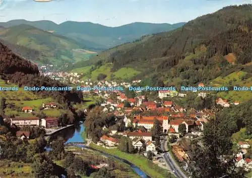 D043029 Luftkurort Wolfach im Schwarzwald. Werner. Postkarte