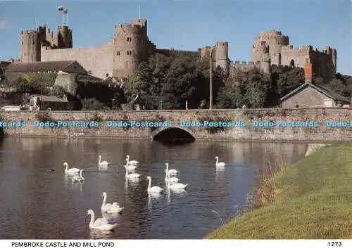 D037931 Pembroke Castle and Mill Pond. Pembrokeshire Eye Postkarten. Haven Farbe