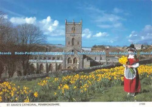 D037932 Pembrokeshire. St. David Cathedral. Pembrokeshire Eye Postkarten. Haven C