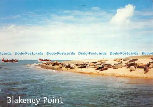 D037995 Blakeney Point. J. Salmon. Kamerafarbe. Postkarte