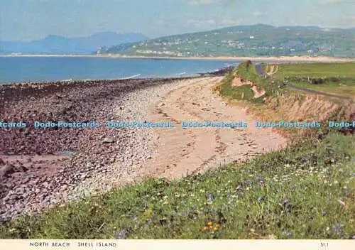 D045073 Shell Island. North Beach. Richter. Postkarte