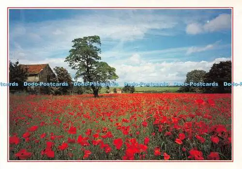 D038495 Yorkshire. Mohnfeld. J. Arthur Dixon. Andy Williams