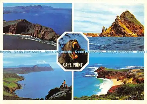 D045695 Cape Point. Arthur English. ABC Presse. Nr. 141A. Multi View