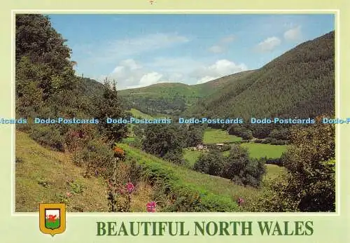 D045710 Schönes Nordwales. Blick vom Hufeisenpass. In der Nähe von Llangollen. N. Wal