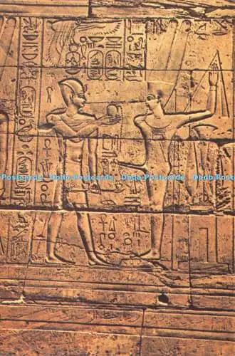 D042888 Luxor. Ramses II Opfergabe an Gott Min. Lehnert und Landrock. Nr. 611. Lam