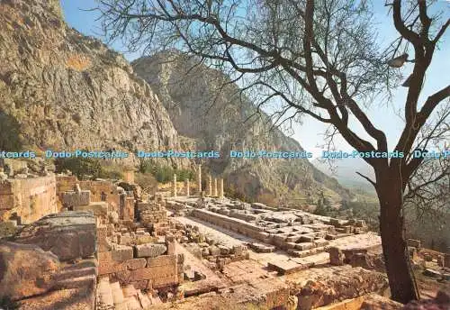 D044656 Delphi. Blick auf den Apollontempel. E. Tzaferis. Hannibal. Folie Ektachrom