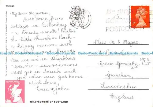 D046801 Wildflowers of Scotland. Innes und Cromb