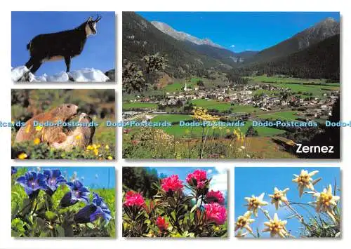 D047677 Zernez. Engadin. Schweiz. Fotoglob. Max Weiss. Montabella Verlag. Multi