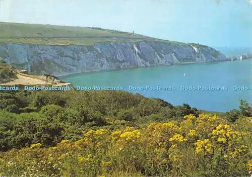 D048407 Isle of Wight. The Needles and Alum Bay. J. Arthur Dixon. A Dickinson Ro