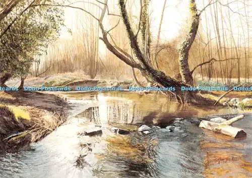 D051666 Querformat. Fluss. Lackierung. Geffrey John Hall. Postkarte. C29179X