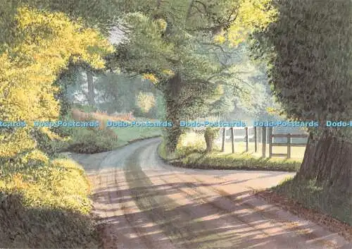 Straße D051676. Natur. C29176X. Postkarte