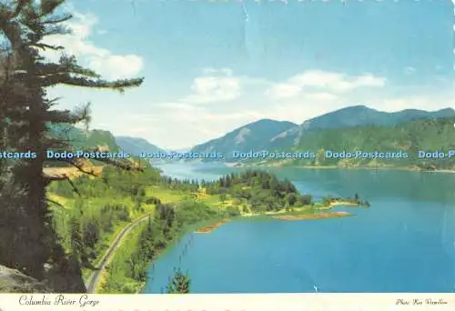 D048871 Columbia River Gorge. Foto Ken Vermillion. CT 602. Smith Western. Dexte