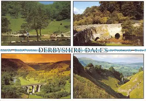 D048890 Derbyshire Dales. Robin Dengate Fotografie. Golden Shield. 1994