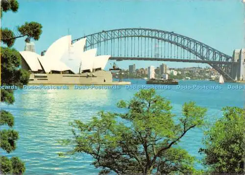 D051920 Sydney Harbour Bridge und Opernhaus von Mrs. Macquaries Point. Sydney
