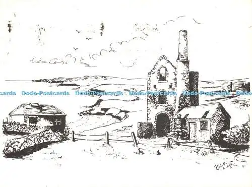 D051959 Wheal Friendly. Nr. Hl. Agnes. Zeigt Cornwalls Mining Heritage zu einer Ru