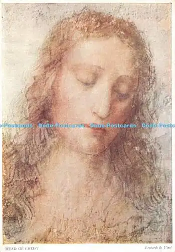 D053995 Haupt Christi. Leonardo Di Vinci. The Medici Society