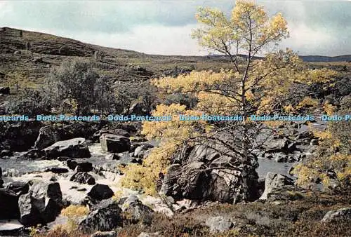 D054421 Ross Shire. Schwarzwasser in der Nähe von Contin. J. Arthur Dixon. Noel Habgood