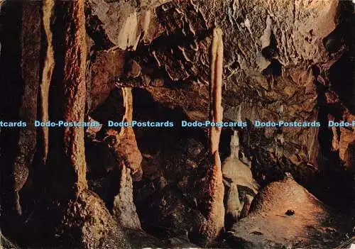 D056268 Baumstumpfkreuzhöhlen. Pateley Bridge. J. Arthur Dixon