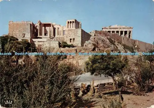 D052843 Athen. In der Nähe der Akropolis. Hassid und Co. Iris. Mexichrom