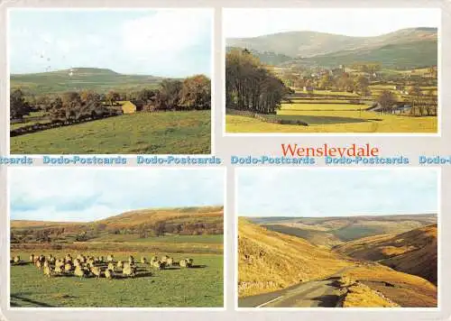 D051459 Wensleydale. Hawes. Schafe. Richter. C. 5524. Multi View