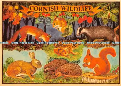 D053199 Cornish Wildlife. Murray King. Sammlerserie