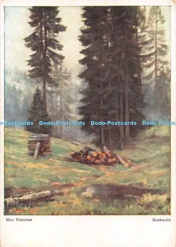 D053641 Hochwald. Max Pistorius. Selbstverlag. Postkarte