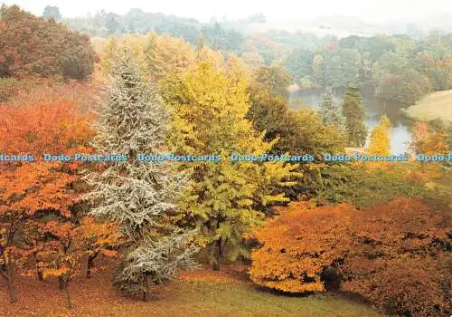D055467 Herbst im Winkworth Arboretum Godalming Surrey. P. J. Kenworthy. Nationa