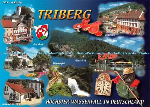 D055579 Triberg. Hochster Wasserfall in Deutschland. Am Markt. Rathaus. Herst u.