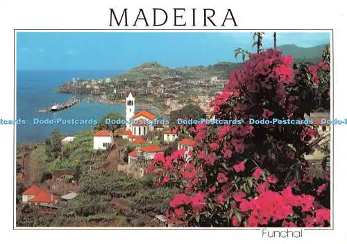 D057513 Madeira. Funchal. Westernansicht. MD2983. Hans Huber KG. F. Ribeiro
