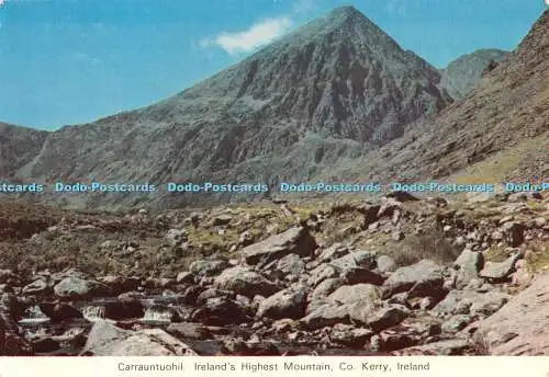 D057748 Carrauntuohil. Irlands höchster Berg. Co. Kerry. Irland. Cardall. 1