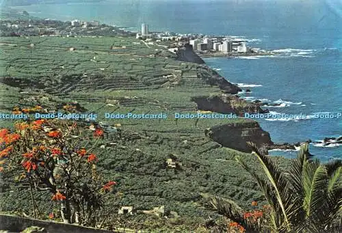D057922 2296. Teneriffa. Orotava-Tal. Puerto de la Cruz im Hintergrund. Edi