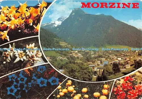 D057932 Morzine. E. 6723. Haute Savoie. Z. 1447. J. Cellard. Adia. Spadem. Multi