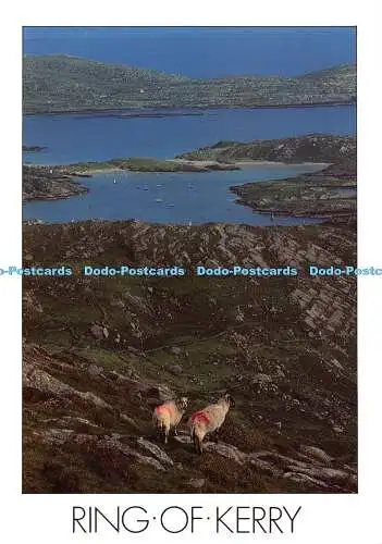 D058677 Ring of Kerry. Insight Cards Limited. Peter Zoller