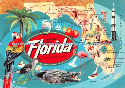 D058831 Grüße aus Florida. The Sunshine State. Wunderschönes Florida. John Hind