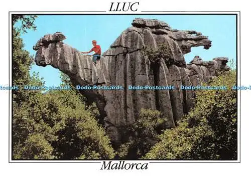 D058877 Mallorca. Lluc. El Camello. Cyp