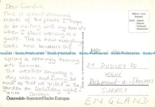 D060152 Grusse aus St. Wolfgang. Osterreich. Sommerfrische Europas. Risch Lau. M