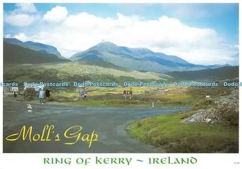 D060163 Irland. Ring of Kerry. Mollspalt. Mac Publikationen. Killarney Printing W