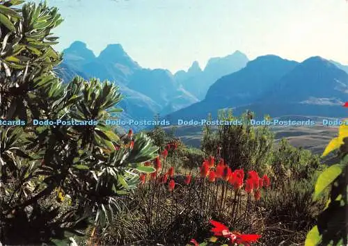 D060651 Pracht der Einsamkeit. DrakensbergPTY