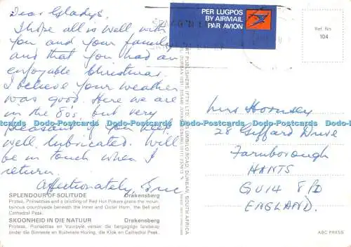 D060651 Pracht der Einsamkeit. DrakensbergPTY