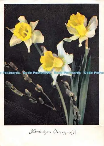 D062842 Herzlichen Ostergruss. Blumen. H.C.B. B. 5