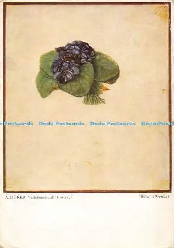 D062853 A. Dürer. Veilchenstrauss. Um 1503. Wien. Albertina. Bruckmanns Bildkart
