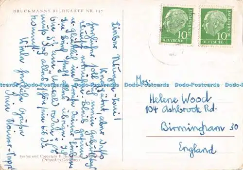 D062853 A. Dürer. Veilchenstrauss. Um 1503. Wien. Albertina. Bruckmanns Bildkart