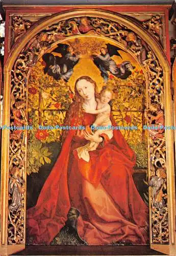 D062931 68000. Colmar. Kathedrale Saint Martin. La Vierge au Buisson de Roses. C