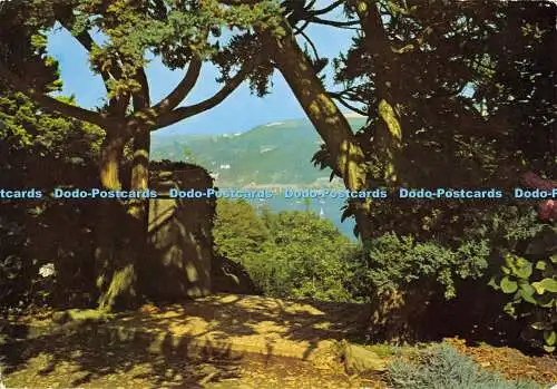 D064396 Devon. Salcombe. Sharpitor Gardens. Colin Richardson Printers Limited. N