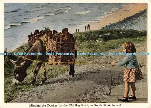 D063334 Den Esel auf der alten Moorstraße spüren. in Südwestirland. Killarney