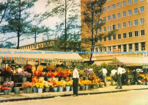 D064877 Durban. Langsamere Verkäufer gegenüber dem Bahnhof. Blomeverkopers Workant Matrize