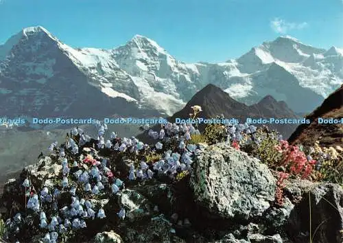 D068719 Eiger. Mönch und Jungfrau. 6419. Fotoglob Wehrli AG. Orell Fussli SA