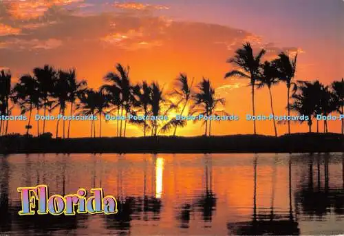 D069978 Florida. Ein wunderschöner Sonnenuntergang in Florida. Die Postkartenfabrik. 2000