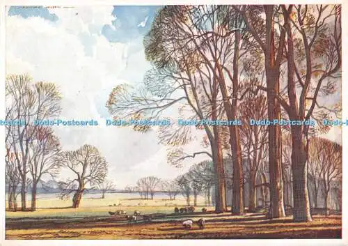 D070051 Pastoral von Rowland Hilder. Medici Society. Postkarte