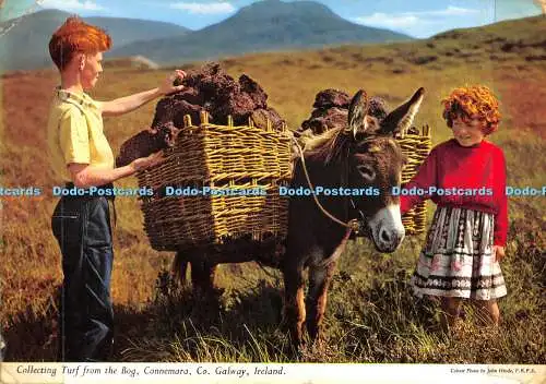 D061990 Irland. Rasen vom Moor sammeln. Connemara. Co. Galway. John Hinde